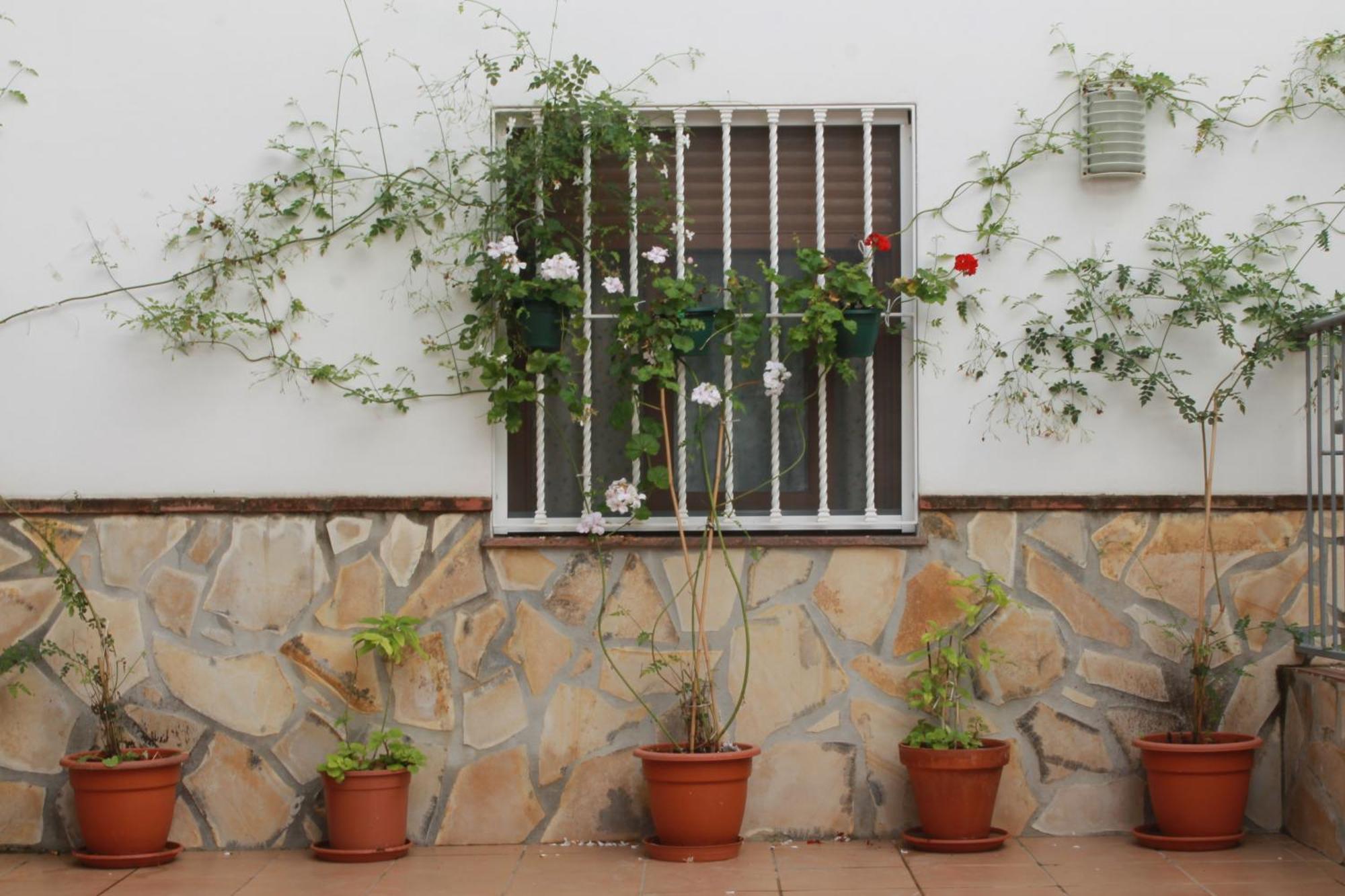 Casa Secreta Velez-Malaga Centroアパートメント エクステリア 写真
